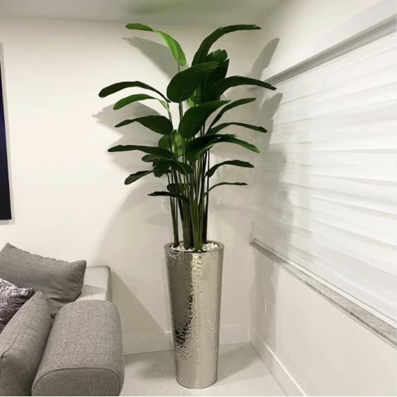 FLOWER/PLANTS ARRANGEMENTS