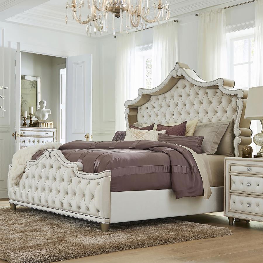 ANTONELLA UPHOLSTERED QUEEN PANEL BED IVORY AND CAMEL