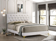 KENDALL UPHOLSTERED PANEL BED WHITE