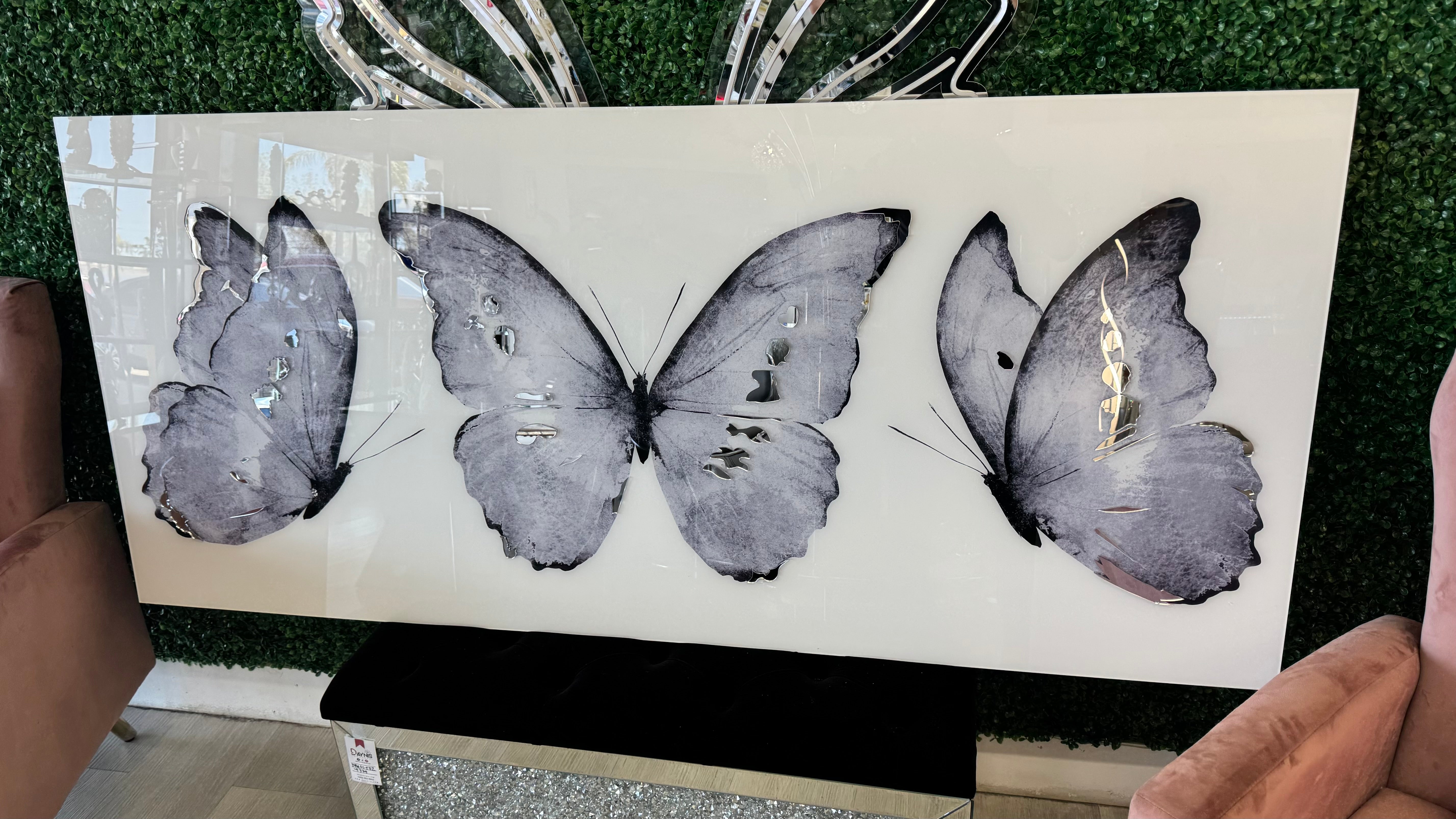 PHANTOM BUTTERFLIES