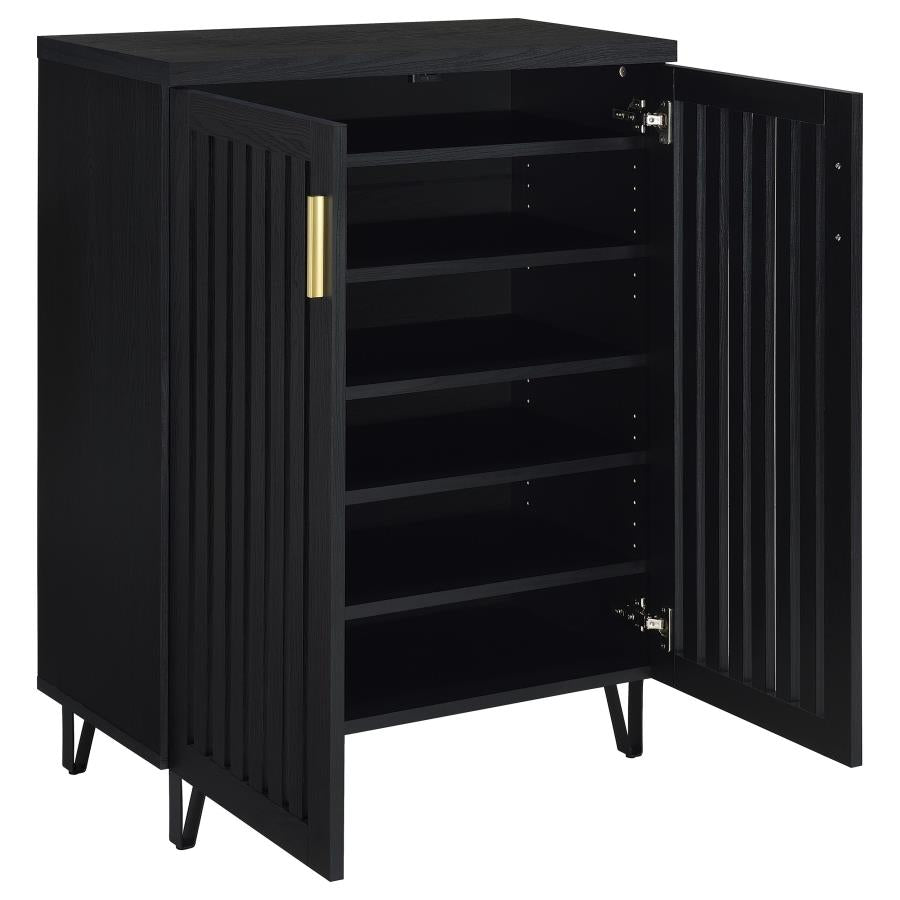 BRIXTON 2-DOOR ENTRYWAY SHOE CABINET