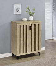 BRIXTON 2-DOOR ENTRYWAY SHOE CABINET