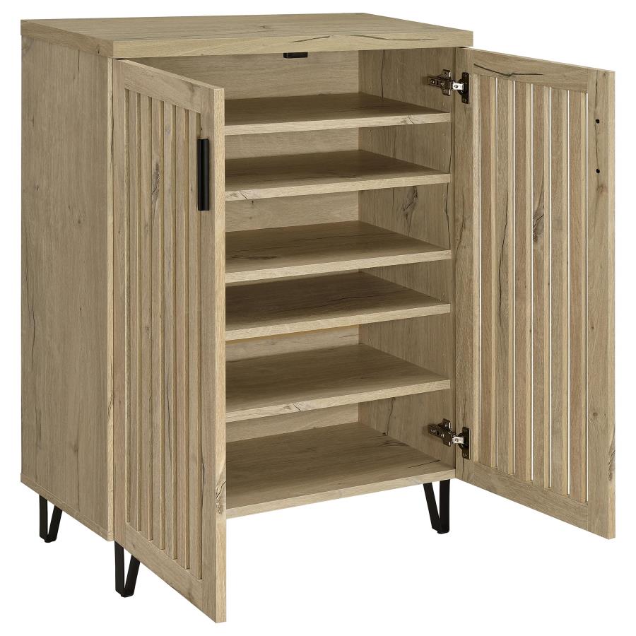 BRIXTON 2-DOOR ENTRYWAY SHOE CABINET