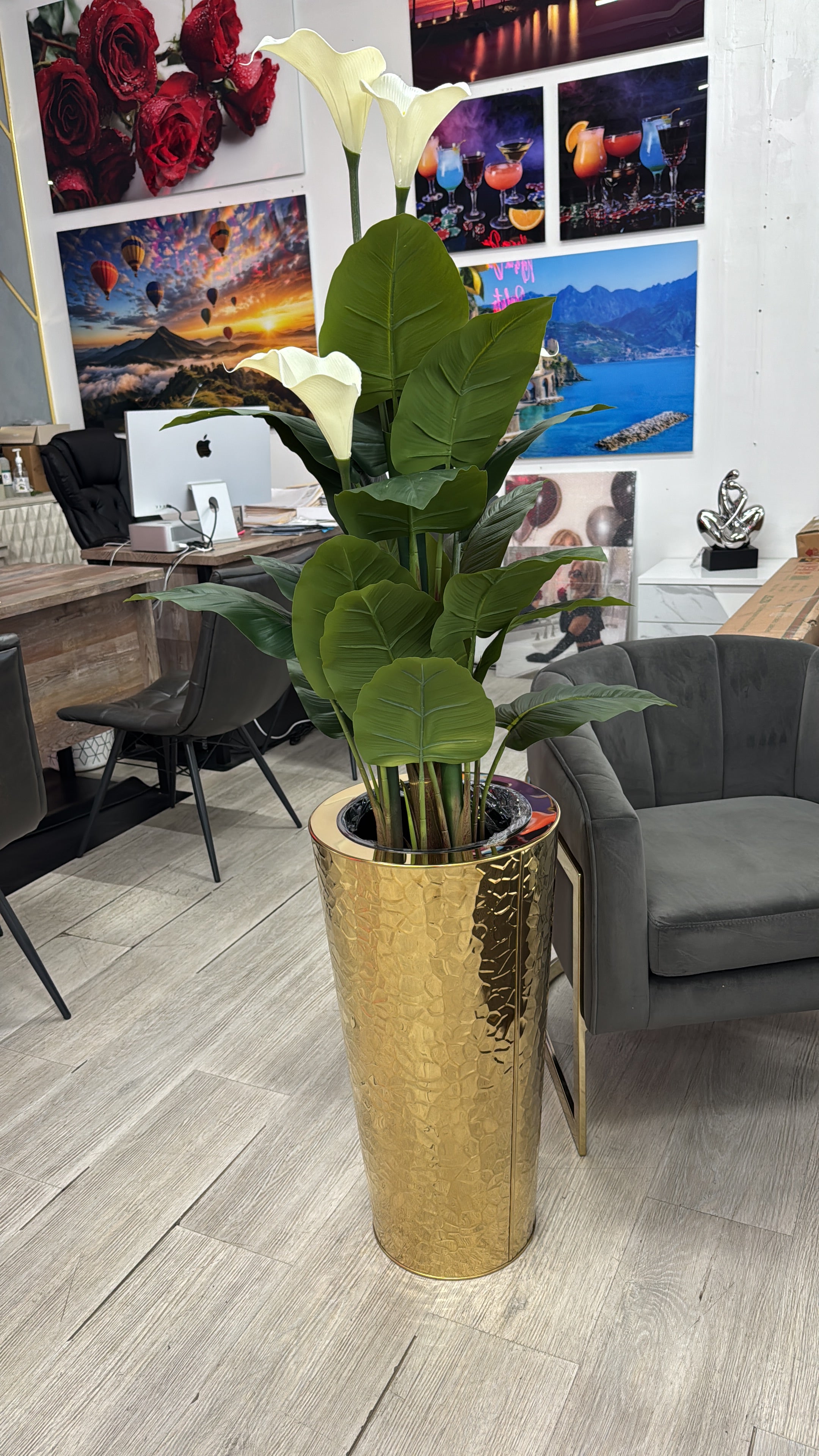FLORAL/PLANT ARRANGEMENT