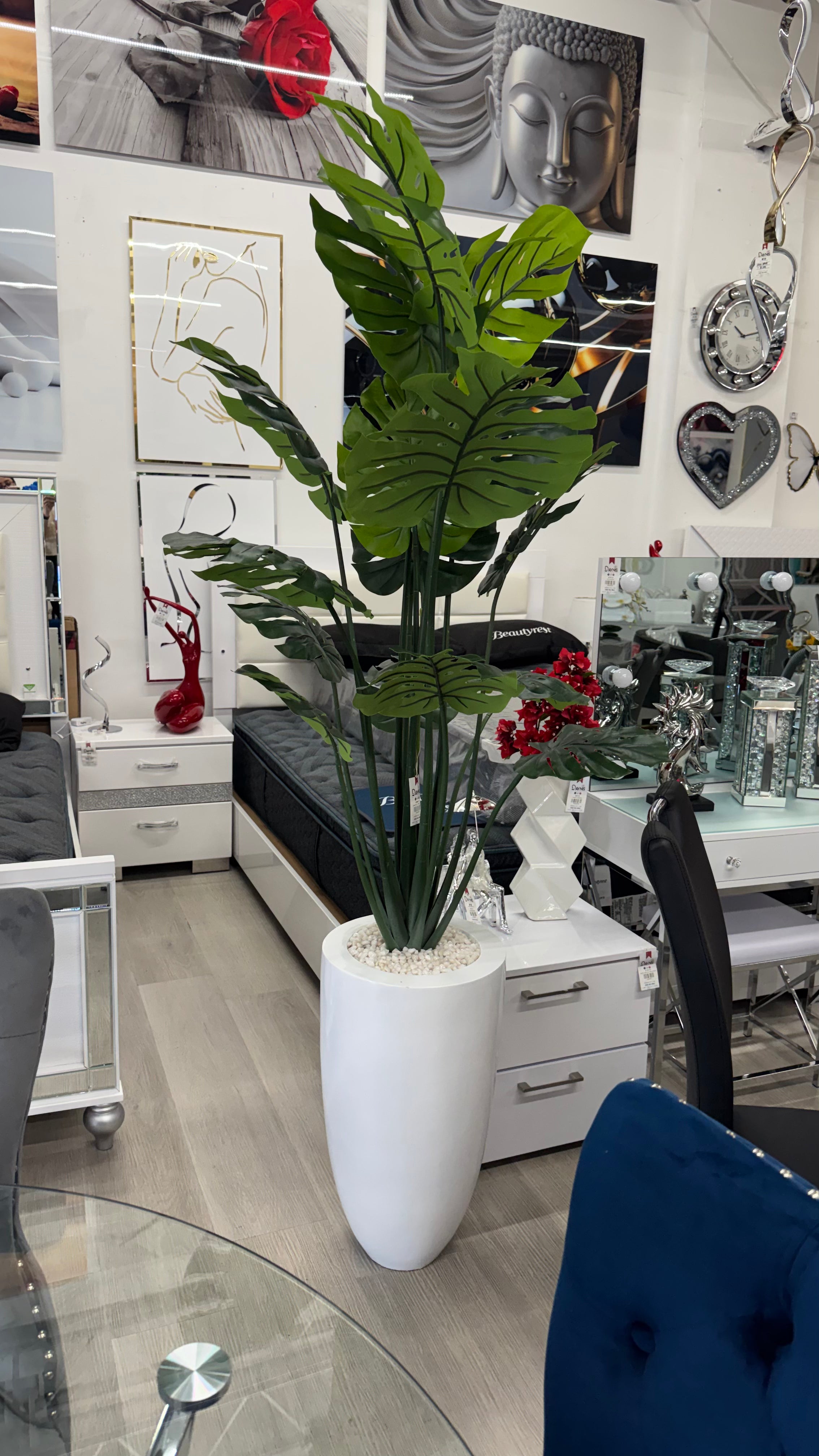FLORAL/PLANT ARRANGEMENT