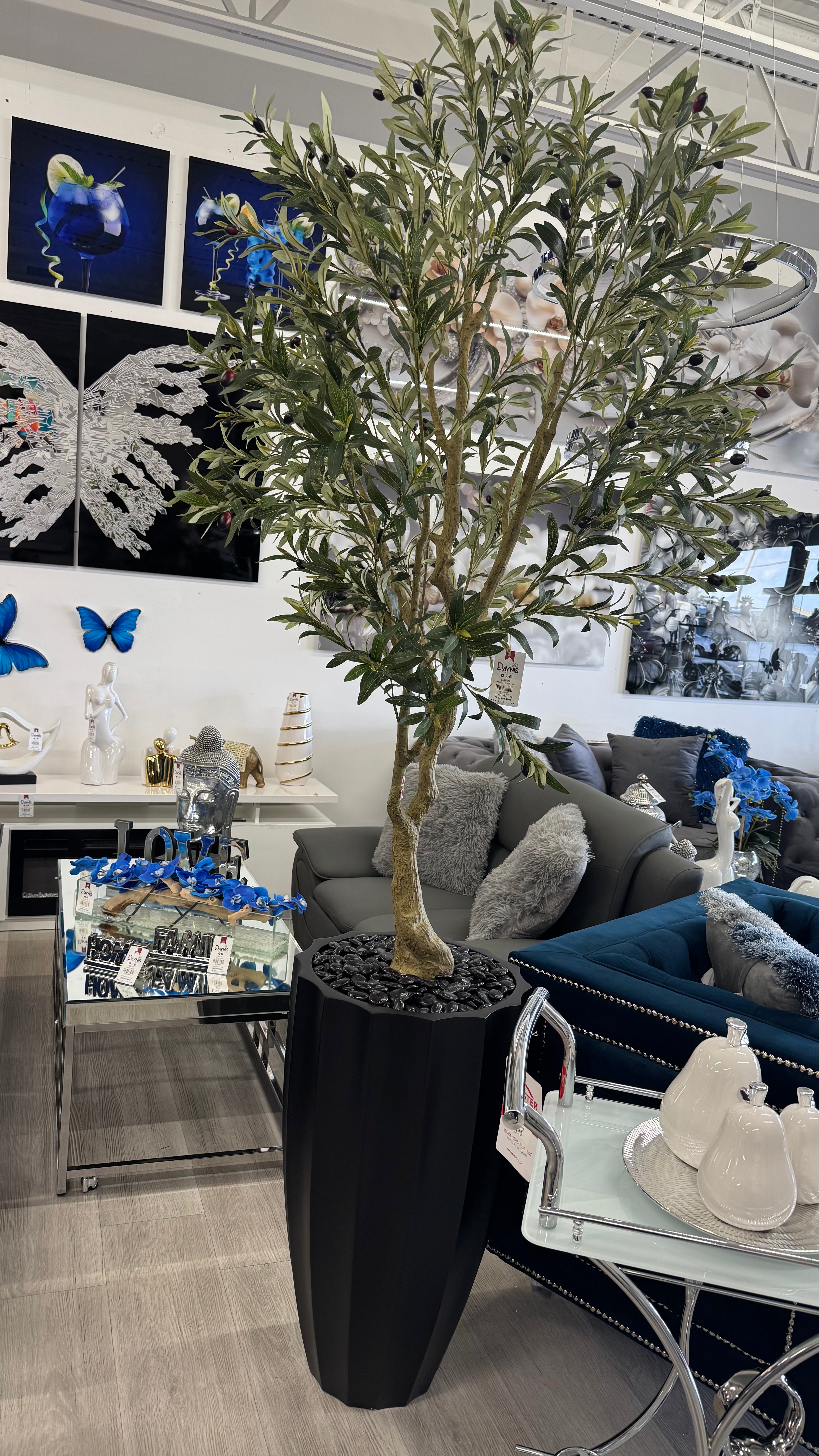 FLORAL/PLANT ARRANGEMENT