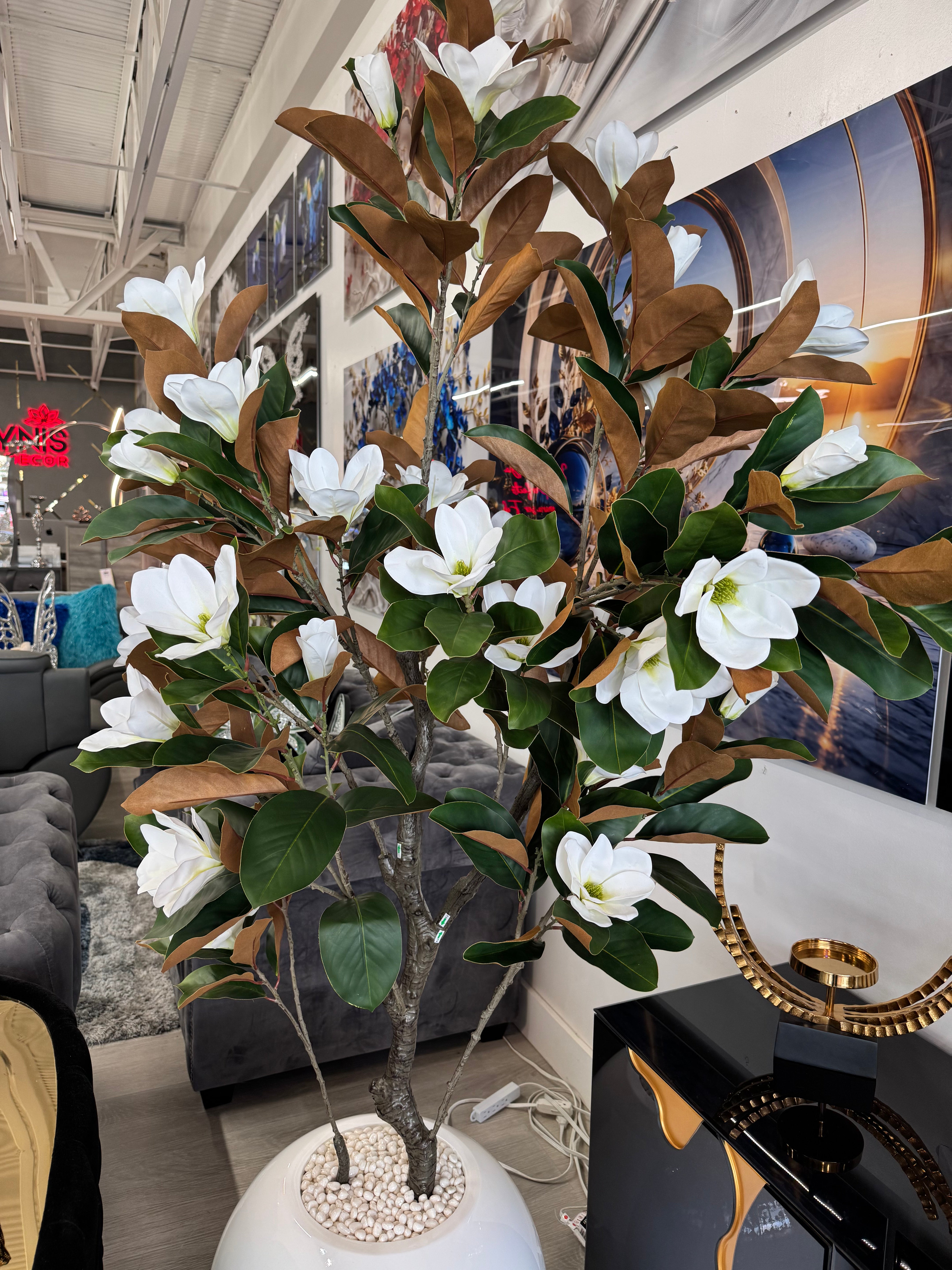 MAGNOLIA TREE