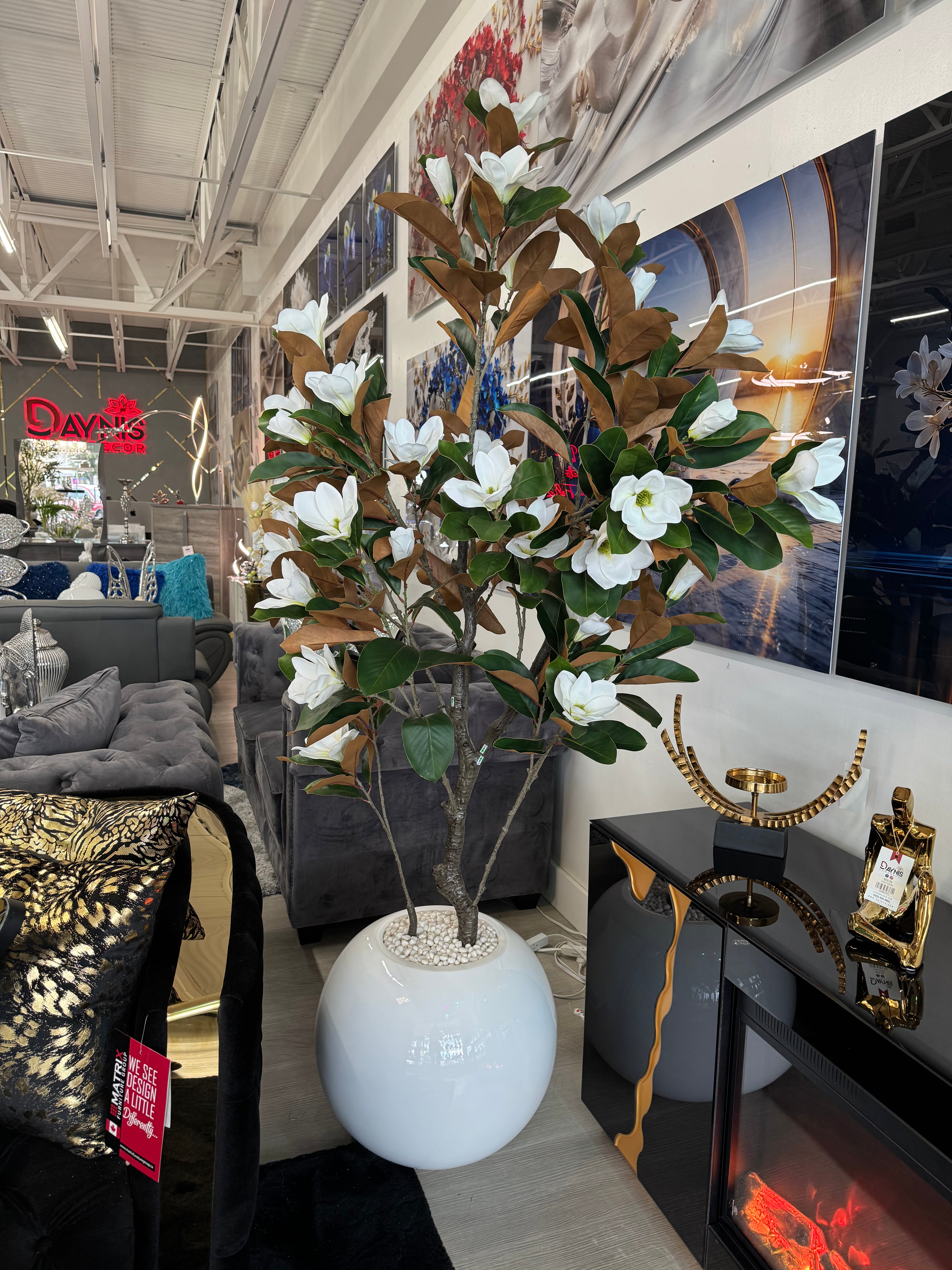 MAGNOLIA TREE