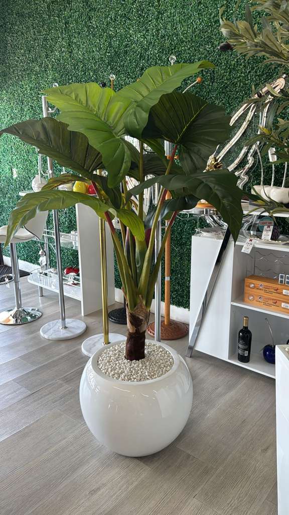 RED PRINCE ALOCASIA FLORAL ARRANGEMENT
