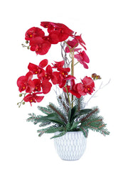 ORCHID ARRANGEMENT DECOR