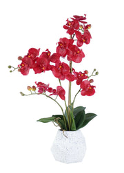 ORCHID ARRANGEMENT DECOR