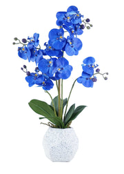 ORCHID ARRANGEMENT DECOR