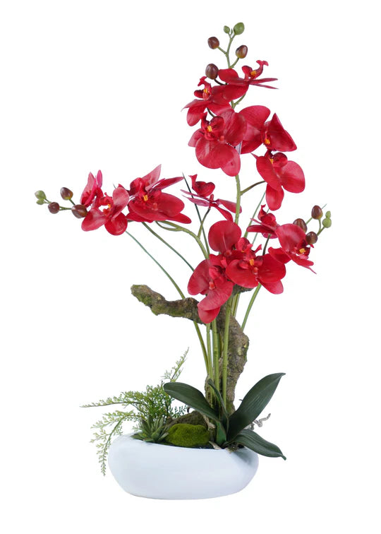 ORCHID ARRANGEMENT DECOR