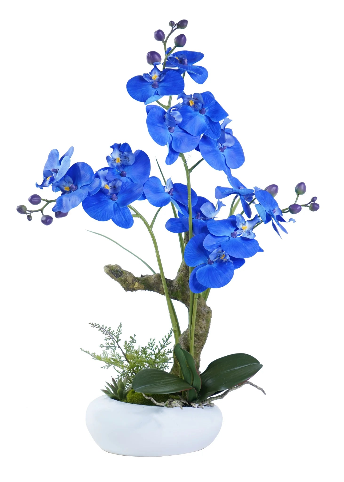 ORCHID ARRANGEMENT DECOR
