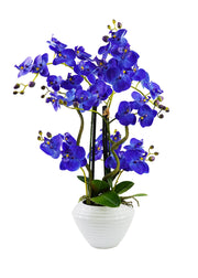 ORCHID ARRANGEMENT DECOR