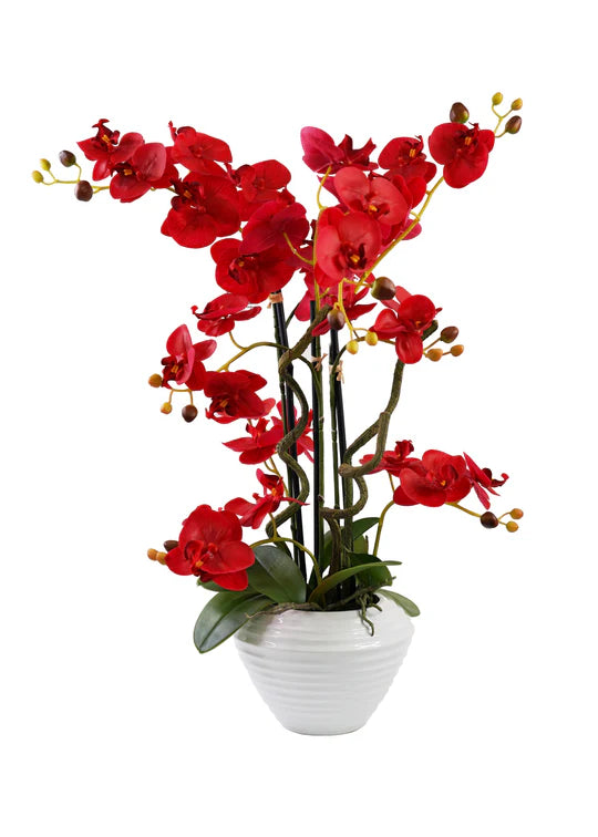 ORCHID ARRANGEMENT DECOR