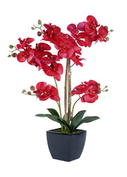 ORCHID ARRANGEMENT DECOR