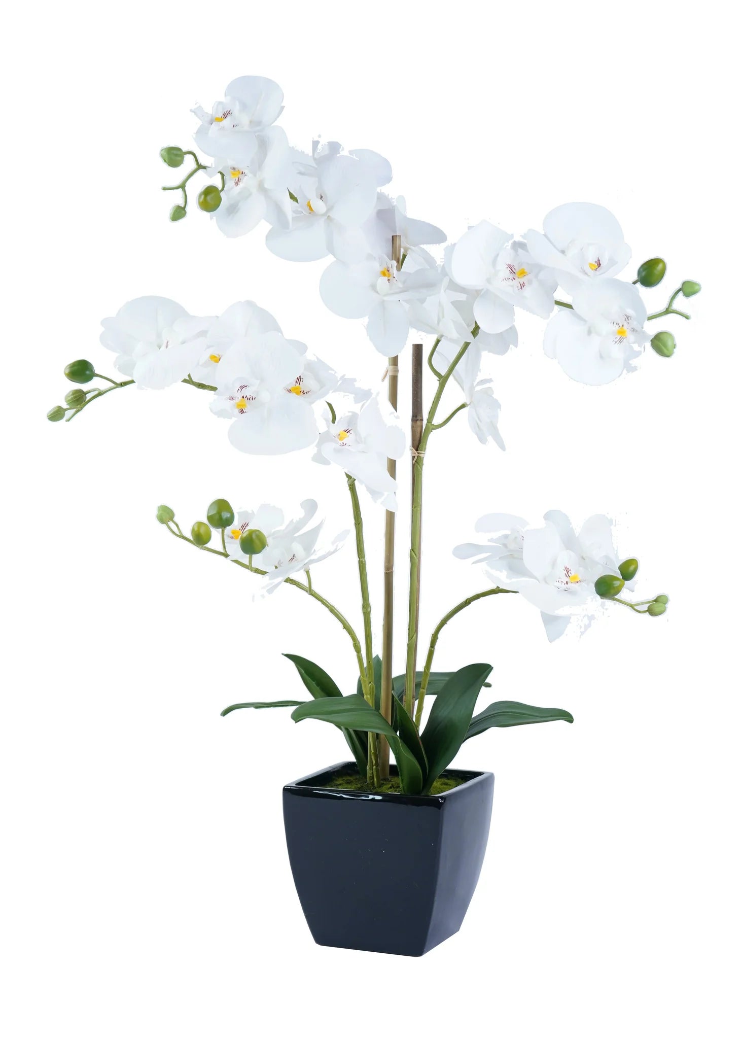 ORCHID ARRANGEMENT DECOR