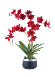 FLOWER ARRANGEMENT DECOR