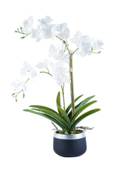 FLOWER ARRANGEMENT DECOR