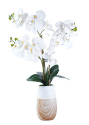 ORCHID ARRANGEMENT DECOR