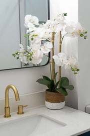 ORCHID ARRANGEMENT DECOR.