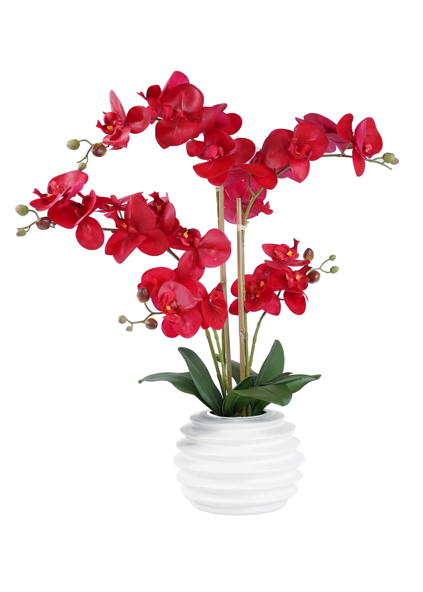 ORCHID ARRANGEMENT DECOR