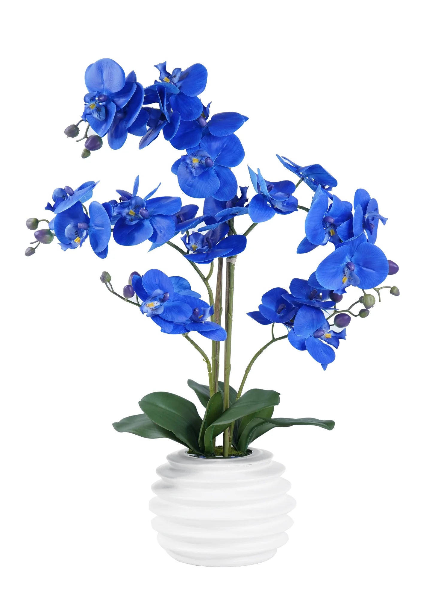 ORCHID ARRANGEMENT DECOR