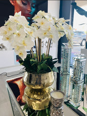 WHITE ORCHIDS GOLD VASE