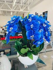 BLUE ORCHIDS WHITE VASE