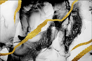 ABSTRACT BLACK AND GOLD