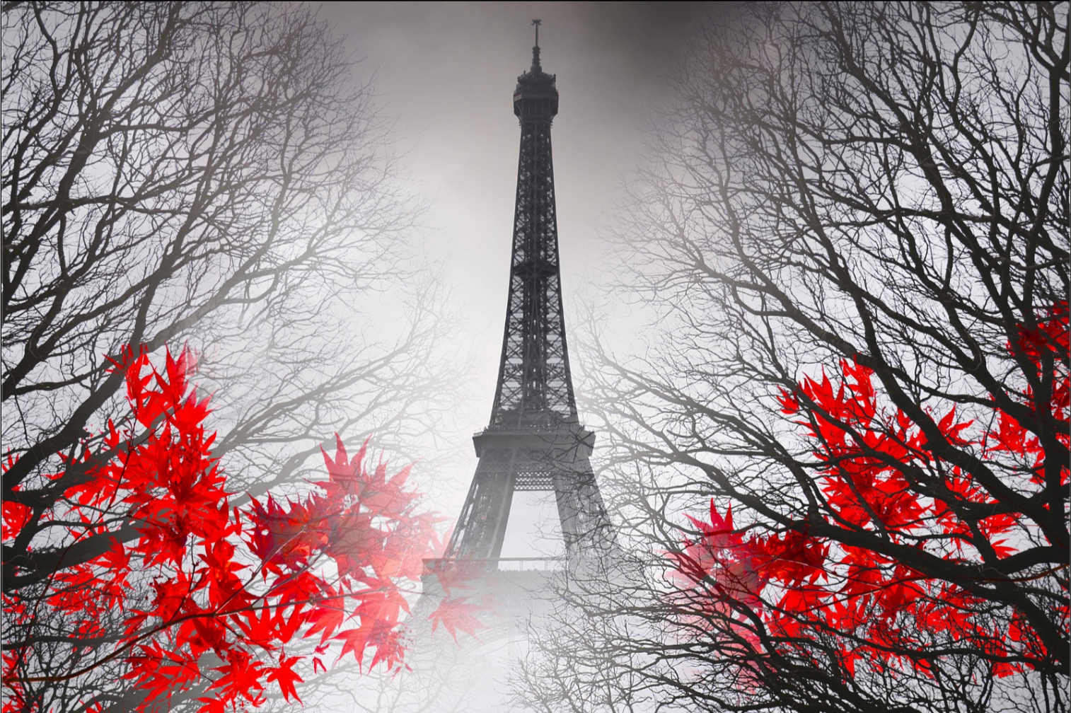 EIFFEL TOWER PARIS AUTUMN