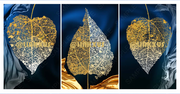 LEAVES WITH BLUE BACKGROUND