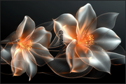 TRANSLUCENT FLOWERS ON A DARK BACKGROUND