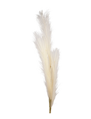 Pampas Stem Artificial Plant
