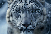 PORTRAIT OF SNOW LEOPARD