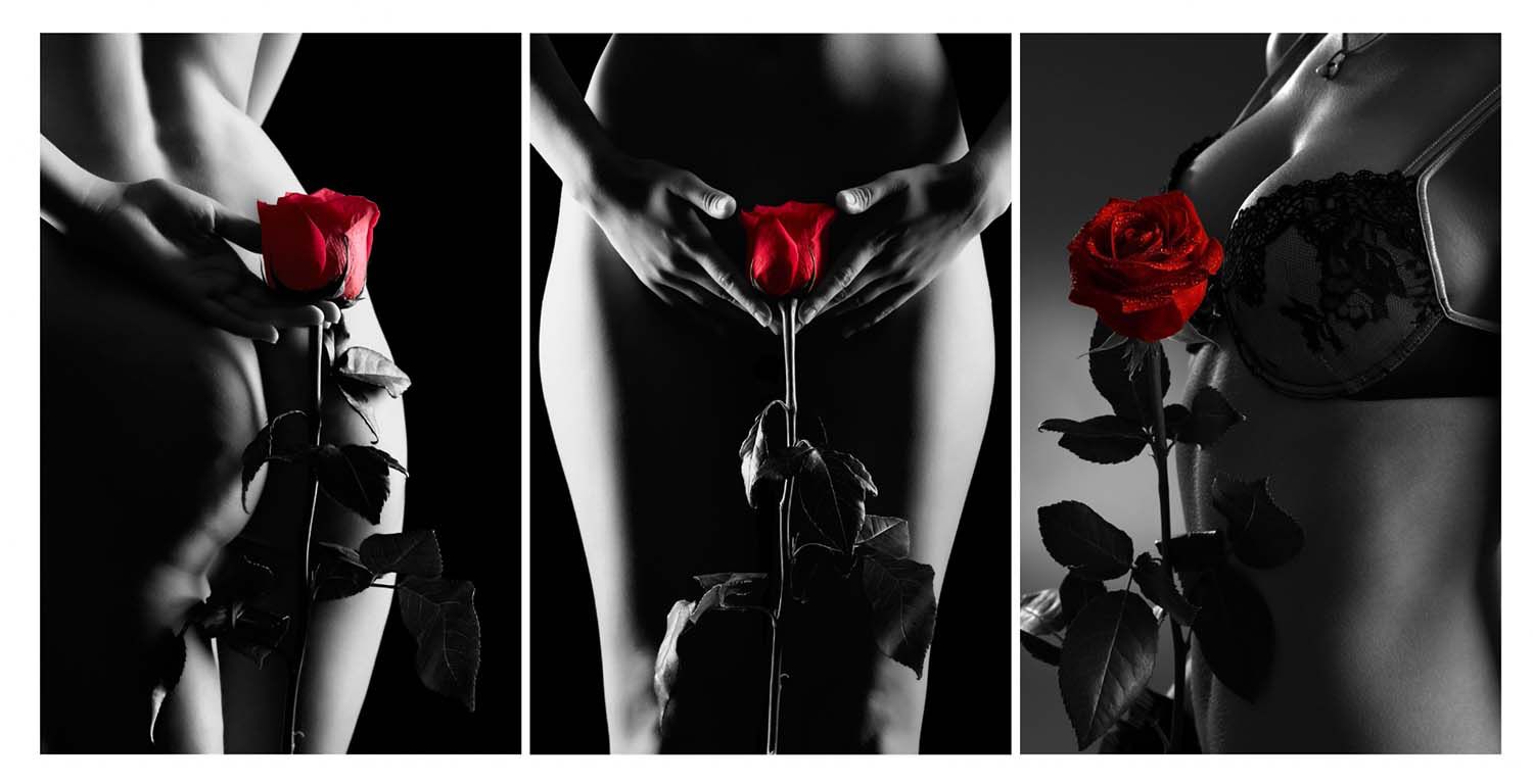 SEDUCCION SILHOUETTE