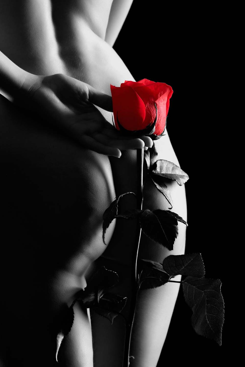 SEDUCCION SILHOUETTE