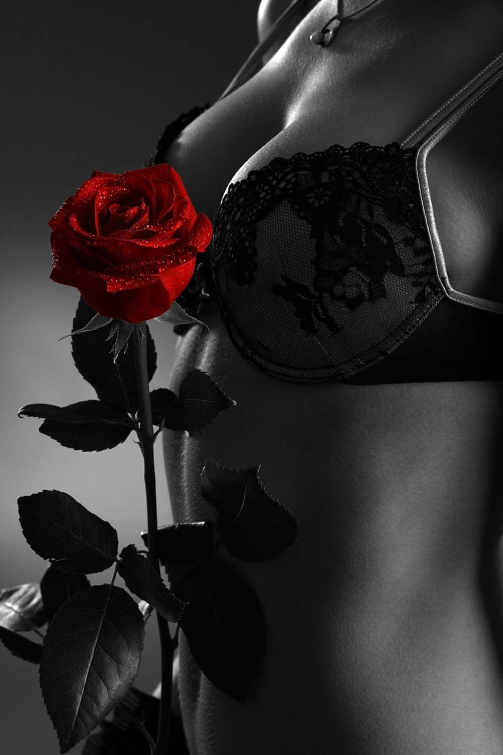 SEDUCCION SILHOUETTE