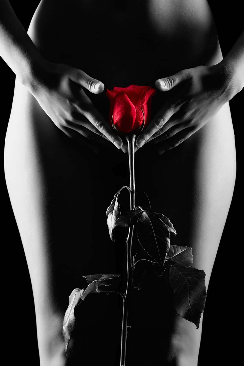 SEDUCCION SILHOUETTE