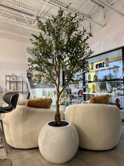 OLIVE TREE