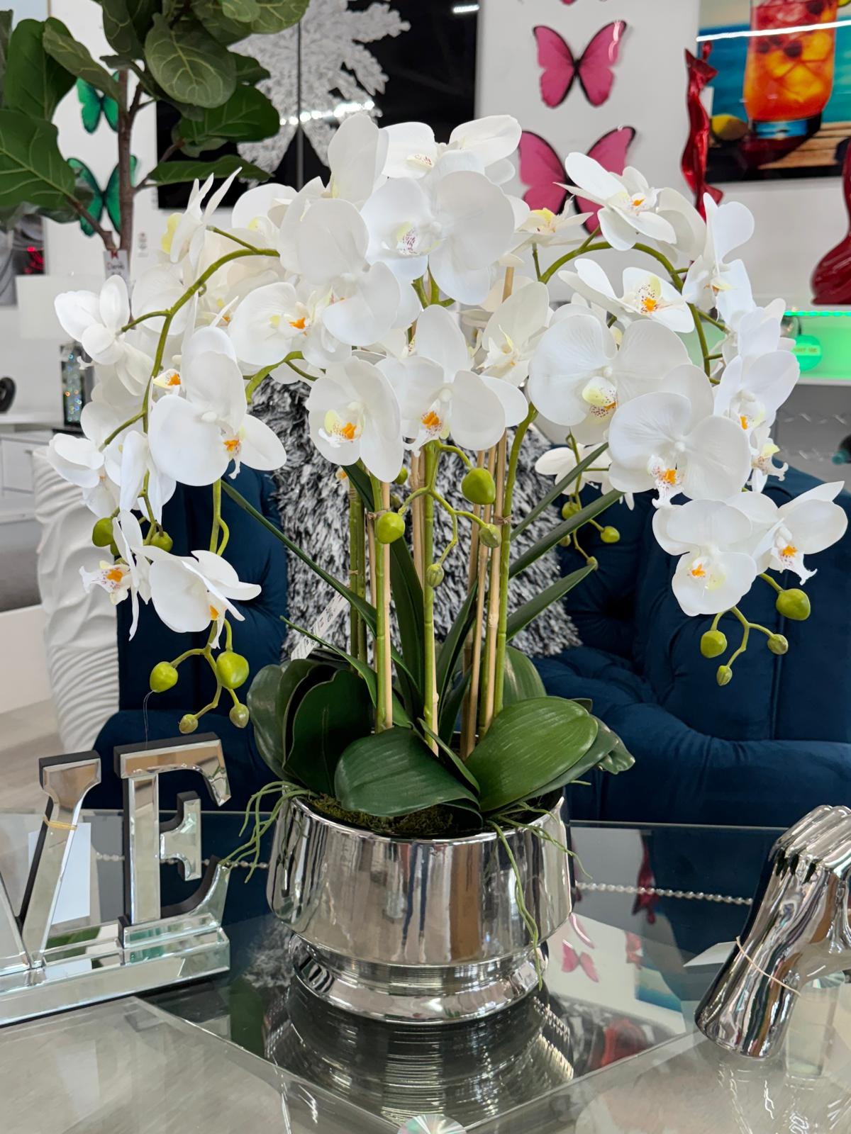 SILVER VASE WHITE ORCHIDS