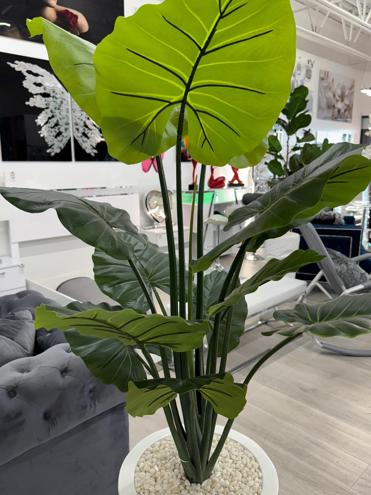 WHITE VASE PLANT