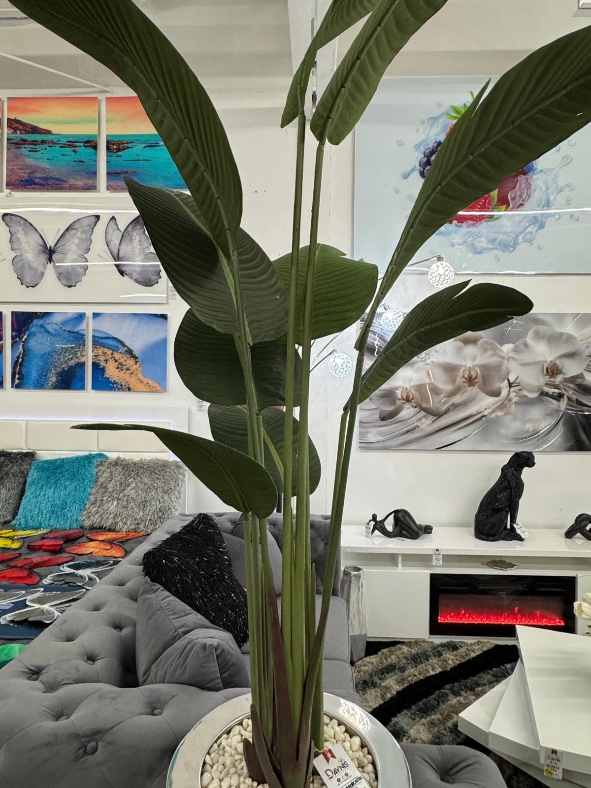 SILVER VASE PLANT