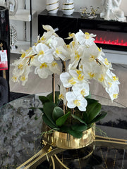 GOLD VASE WHITE ORCHIDS