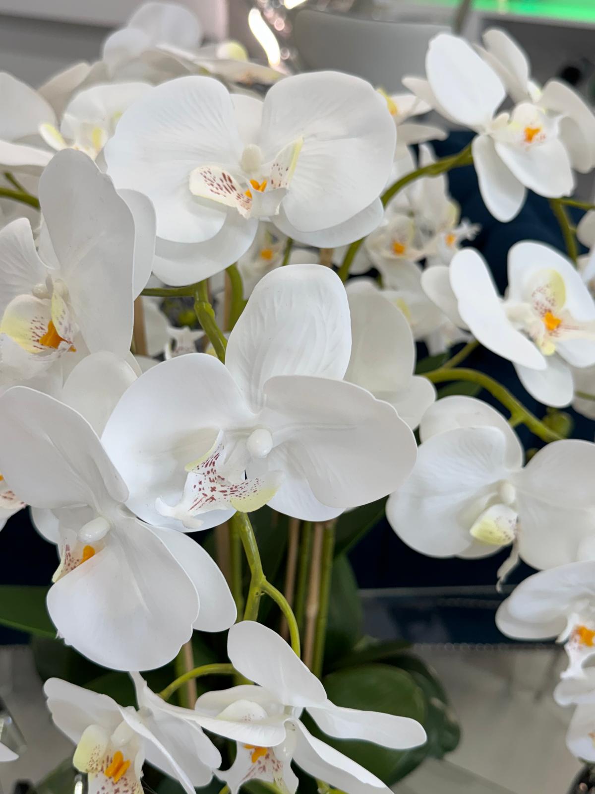 SILVER VASE WHITE ORCHIDS
