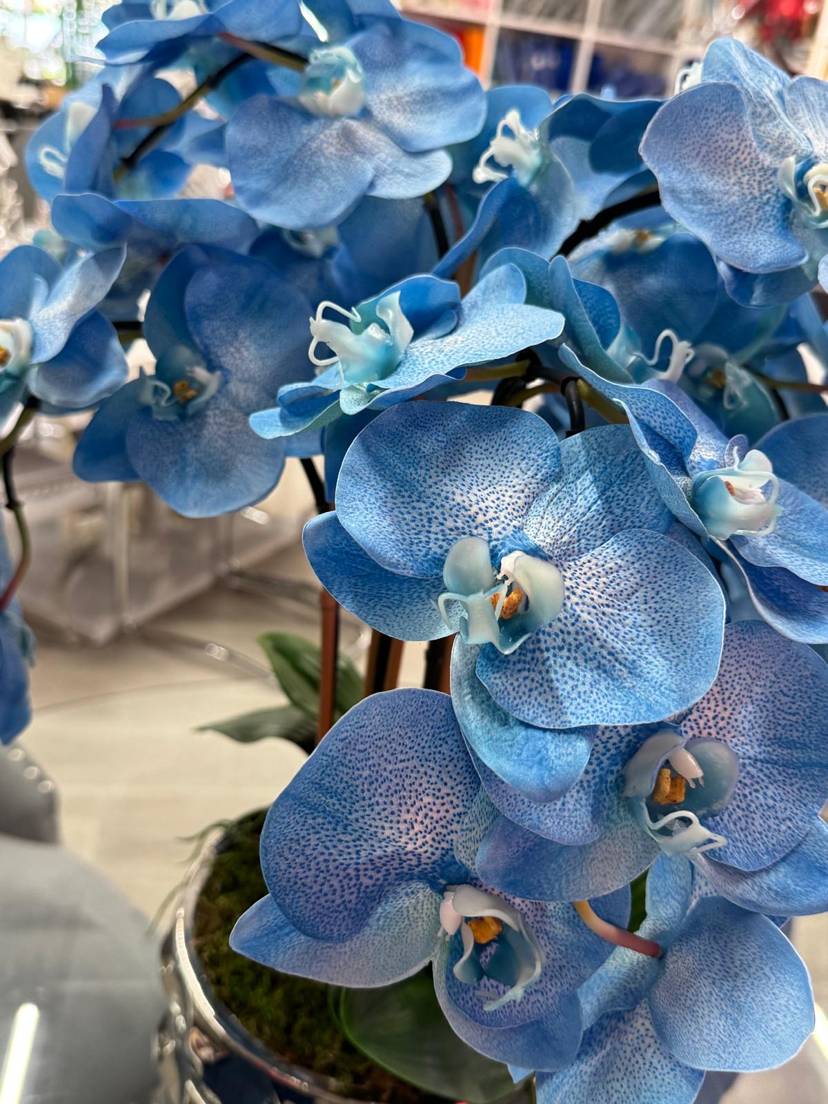 SILVER VASE BLUE ORCHIDS