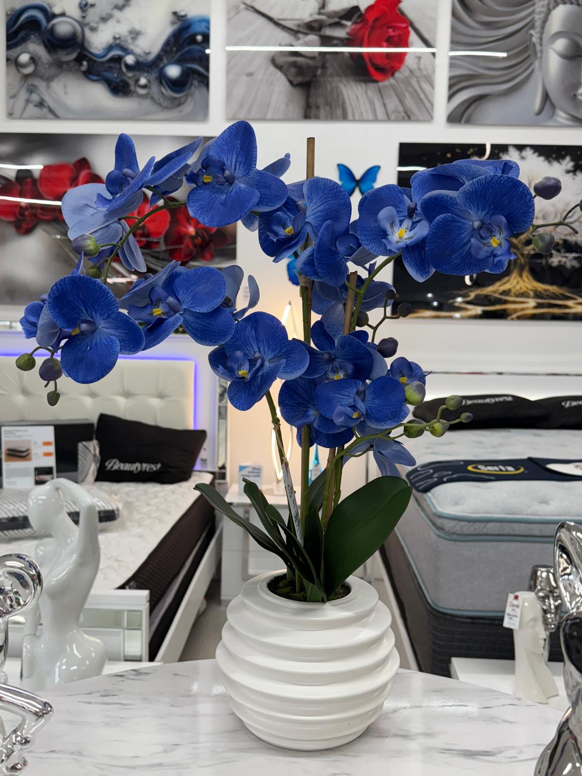 SMALL BLUE ORCHIDS