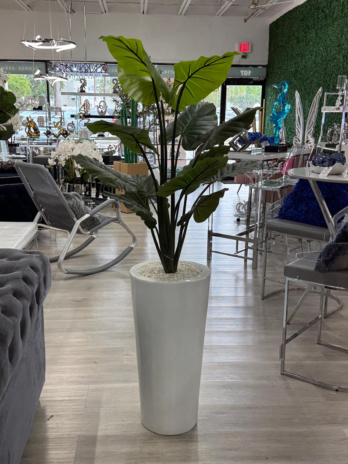 WHITE VASE PLANT