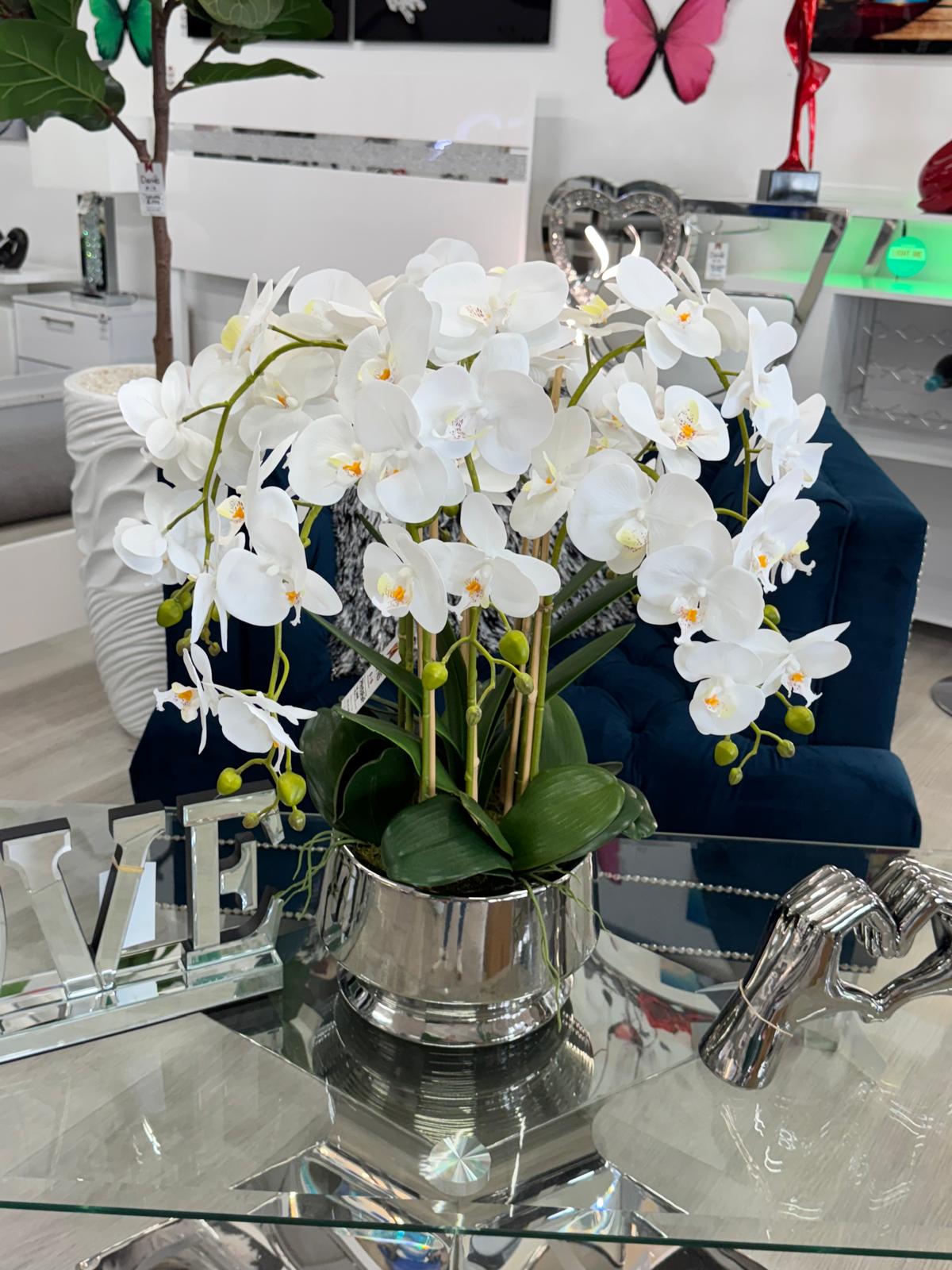 SILVER VASE WHITE ORCHIDS